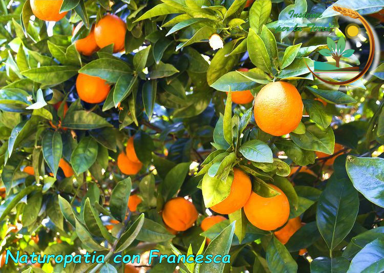 Naturopatia con #Francesca – Con le #arance annientiamo lo #stress!