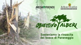 Insieme per la Terra sostiene il progetto “obiettivo alberi” di MediaFriends Onlus
